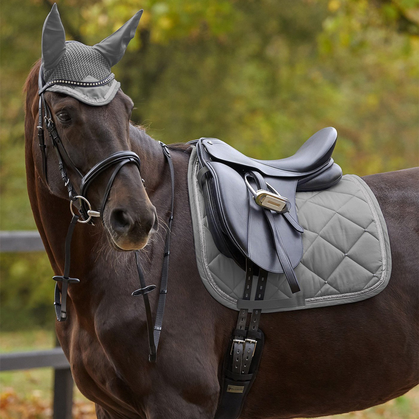 Waldenhausen Competition Dressage Saddle Pads