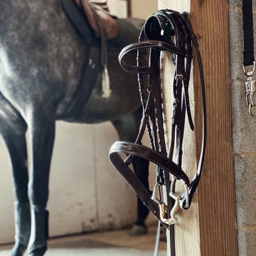 Bridles & Accessories