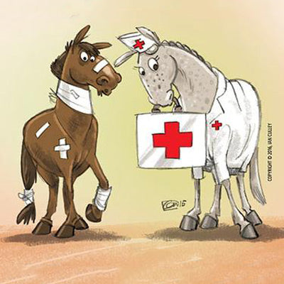 Horse Health Care