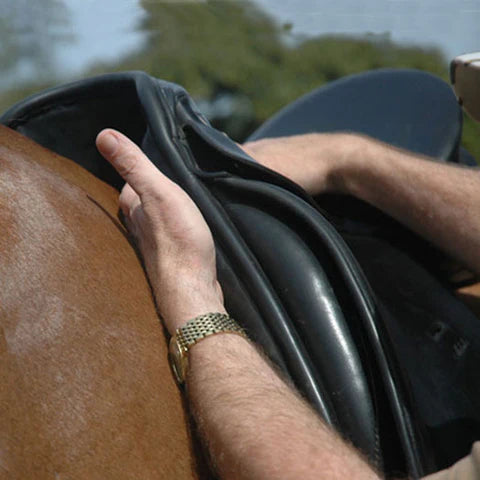 Saddle Fitting