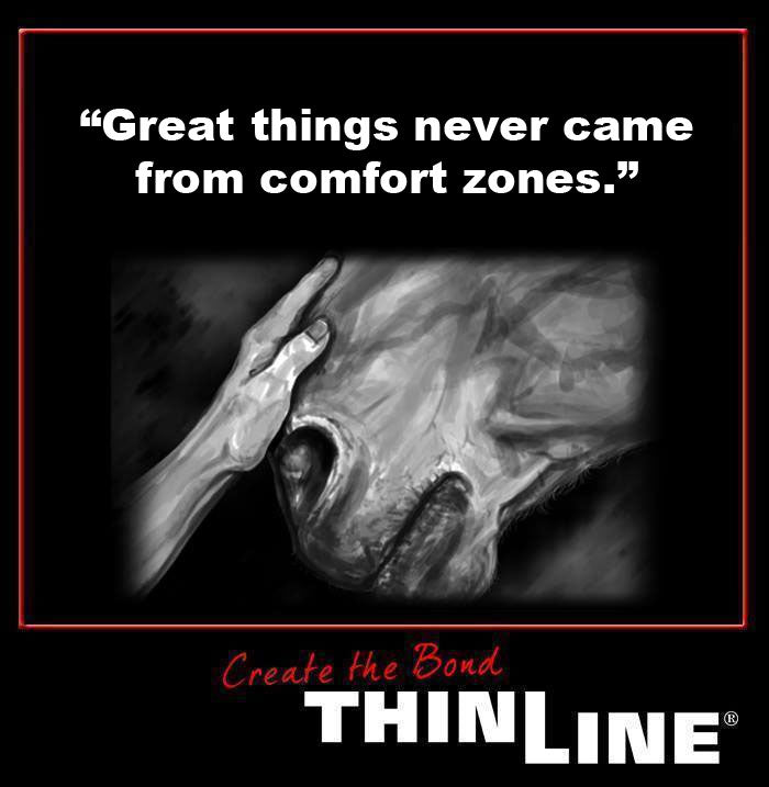 ThinLine®