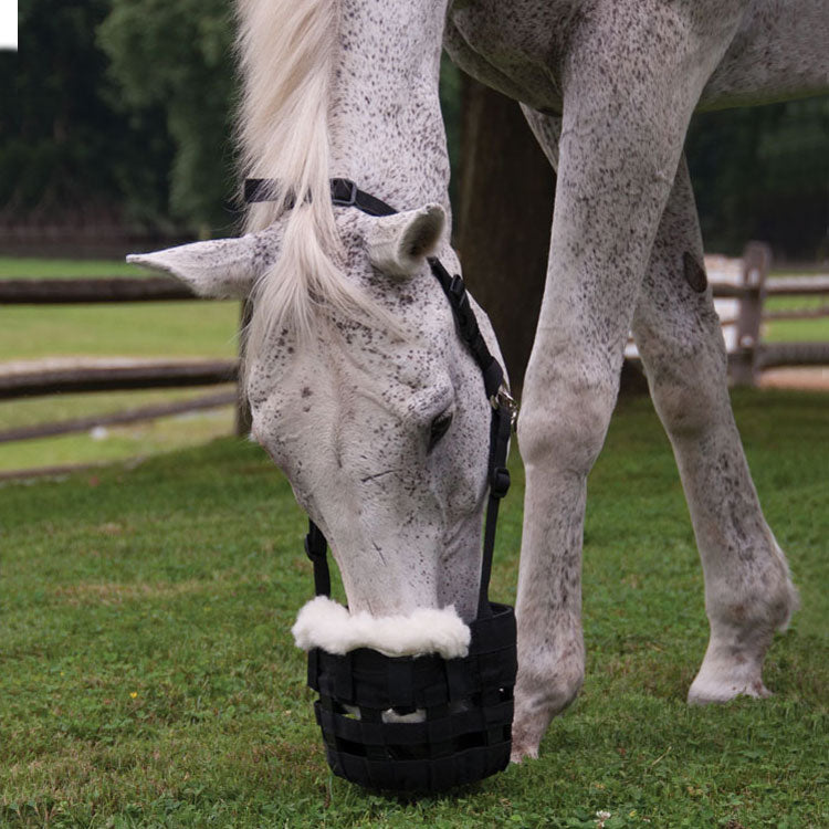 Horse Muzzles & Cribbing Collars