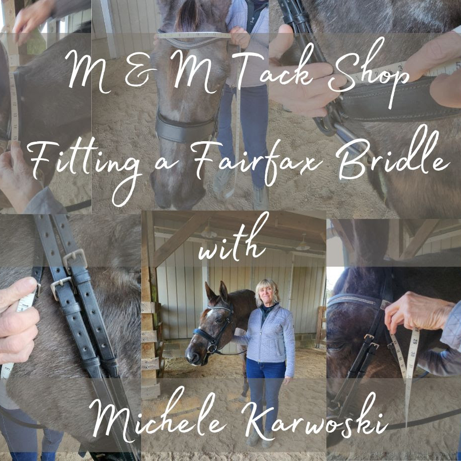 Unlock the Secrets of Fairfax Bridles & the Importance of Proper Bridle Fit