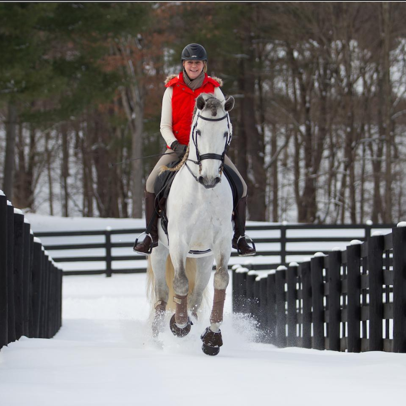 Winter Riding