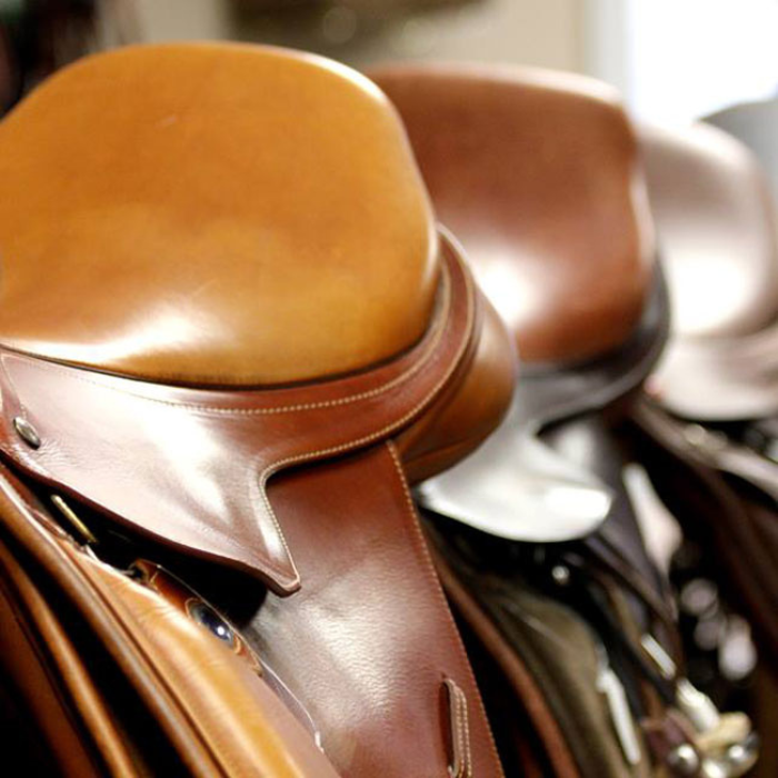 Pre-Owned Jump & AP Saddles