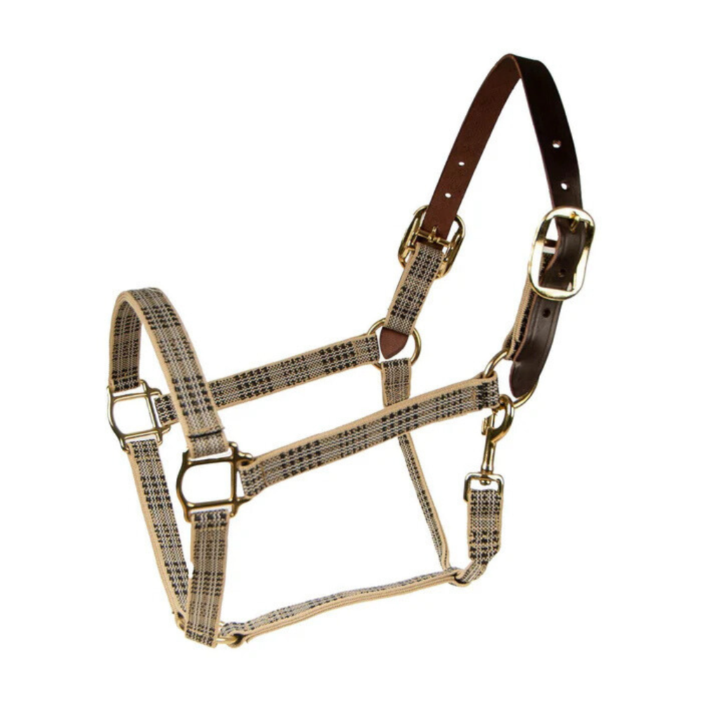 Product image of 5/A Baker® breakaway halter with full leather 1&quot; crown, near side on white background.