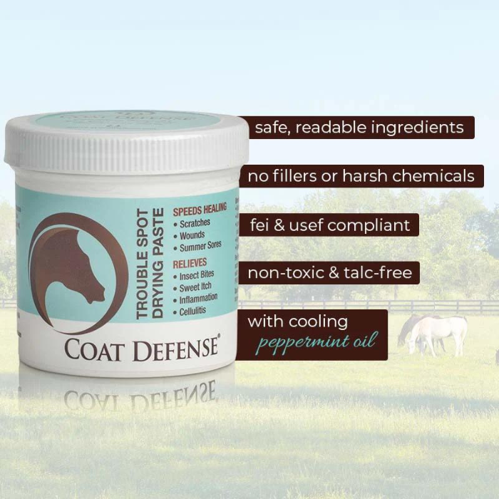 Coat Defense Trouble Spot Drying Paste,  24 oz