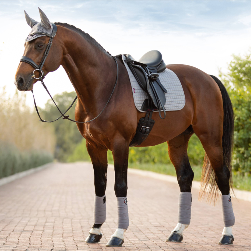 Image of LeMieux grey suede dressage saddle on a bay horse with dressage saddle, bridle and fly veil. 