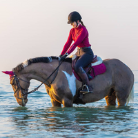 Image of LeMieux's mulberry GP suede square saddle pad on a paint horse with rider, standing in a lake. 