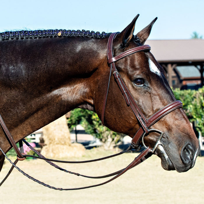 Red Barn Spirit Hunter Bridle