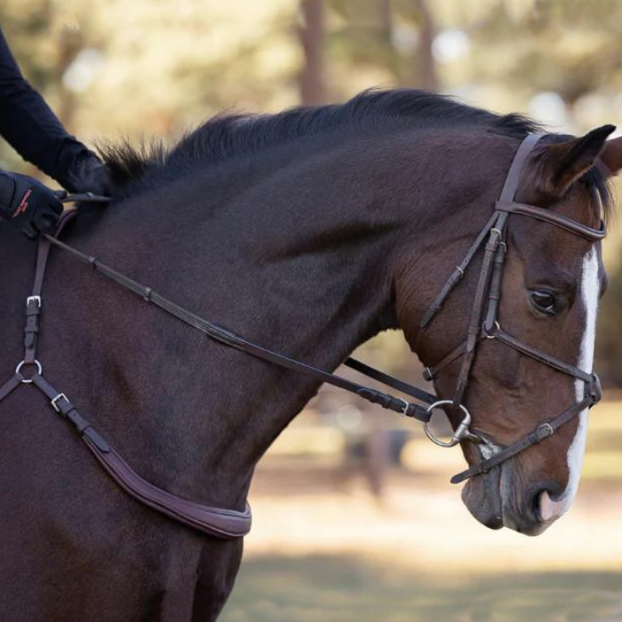 Correct Connect Sure Grip Reins w/stops