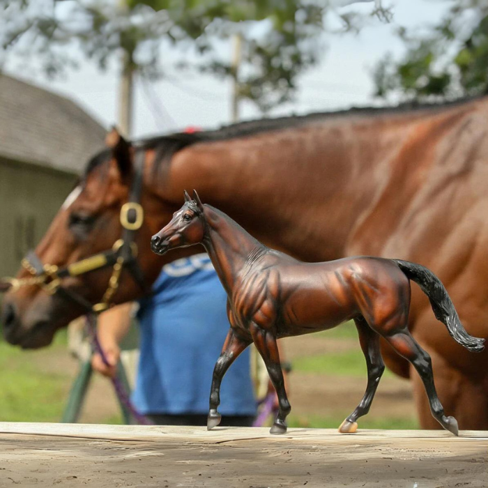 Breyer Cody's Wish