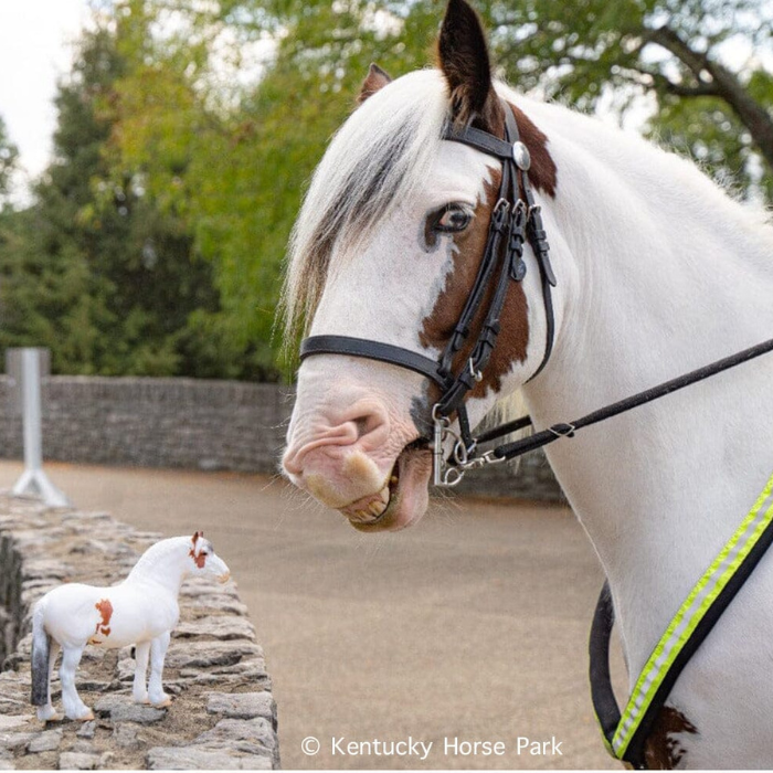 Breyer Hytyme Legend