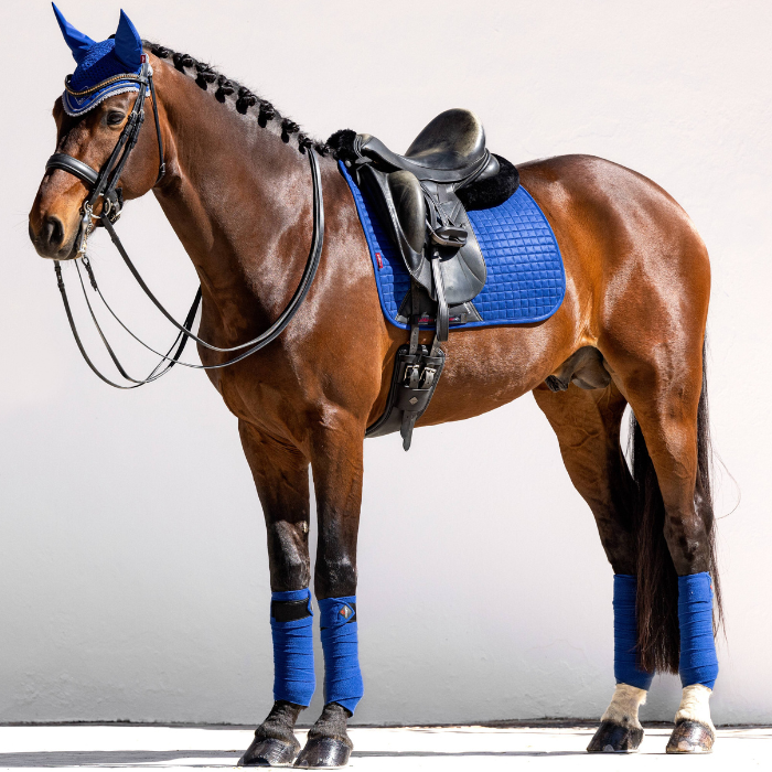 LeMieux Suede Dressage Square, Benetton Blue