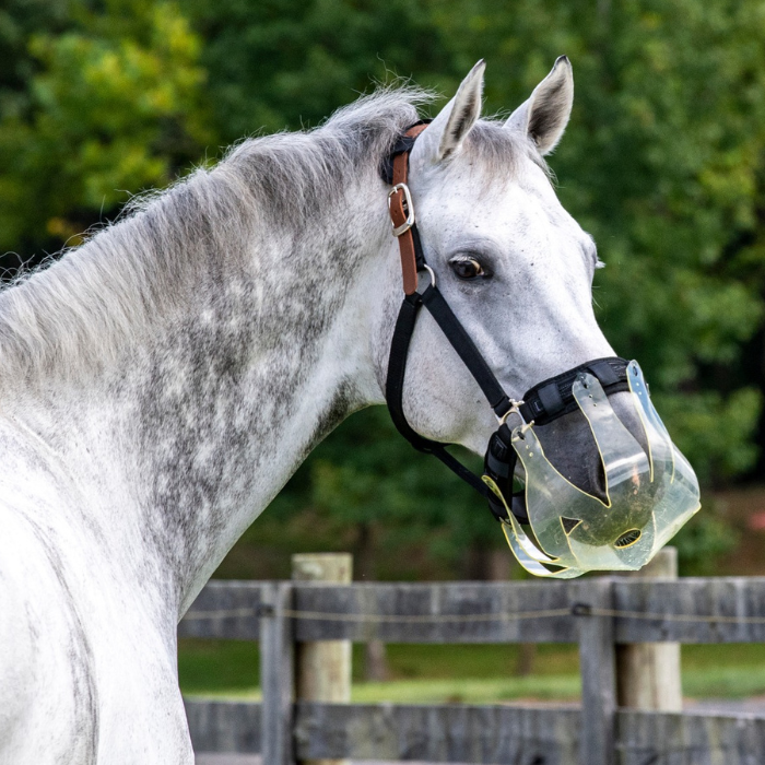 ThinLine Flexible Filly Slow Feed Grazing Muzzle,  2.5 cm Opening