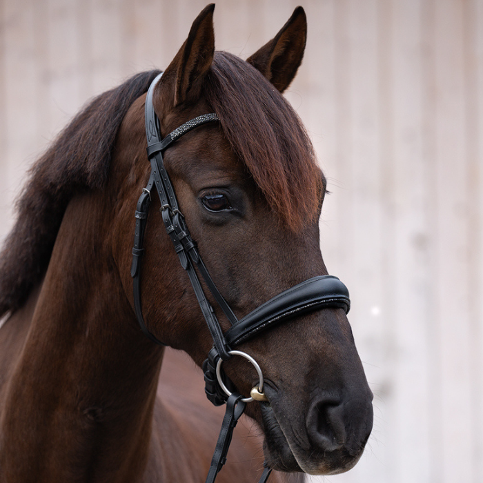 Kavalkade Victoria KavalSH4 Dressage Bridle