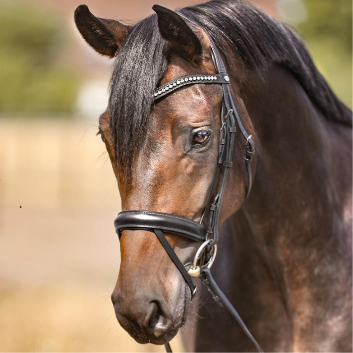 Kavalkade Diana KavalSH4 Dressage Bridle