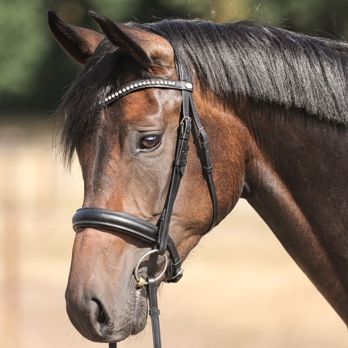 Kavalkade Diana KavalSH4 Dressage Bridle