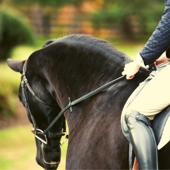 Thinline Reins 60" with Buckle Ends