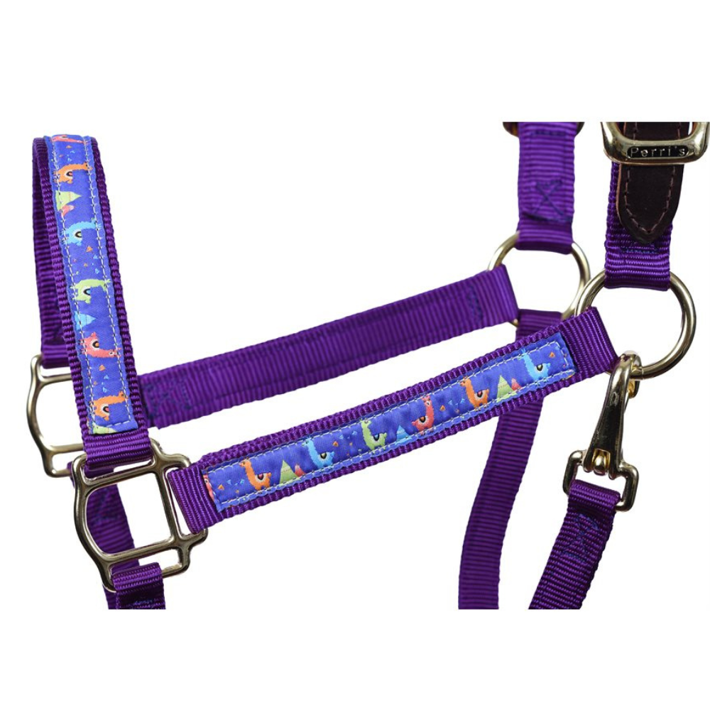 Perri's Llama Ribbon Breakaway Halter