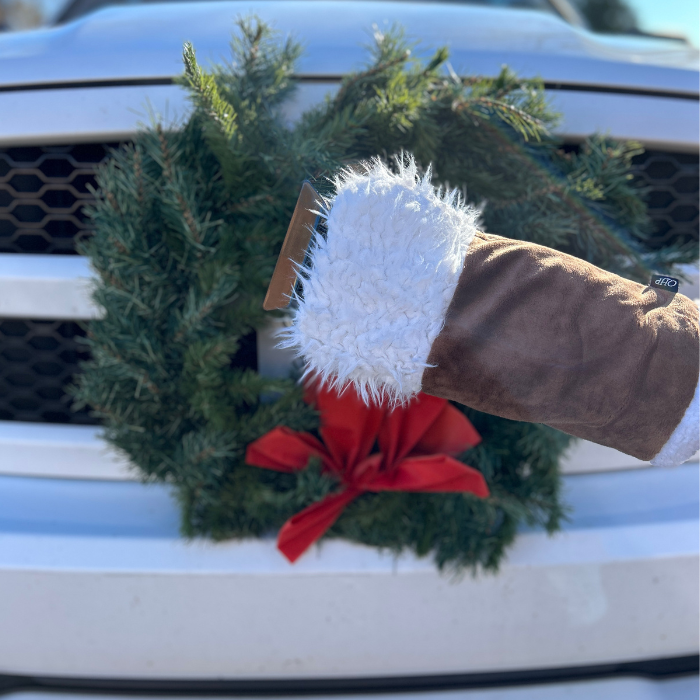 Horse Hoof Ice Scraper