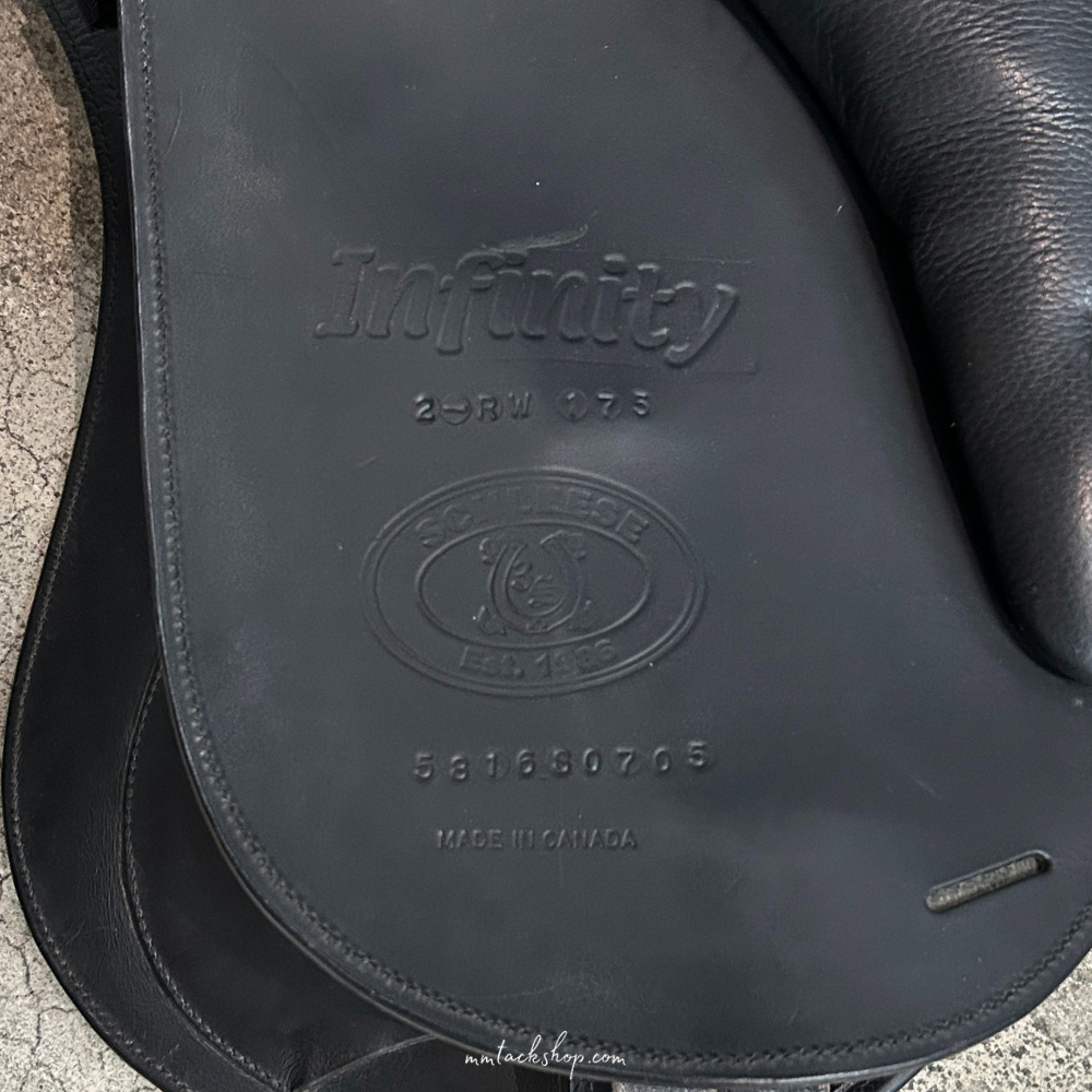 Used Schleese Infinity Dressage Saddle