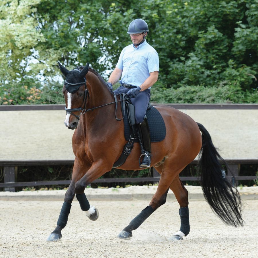 WeatherBeeta Prime Dressage Saddle Pad,  Black