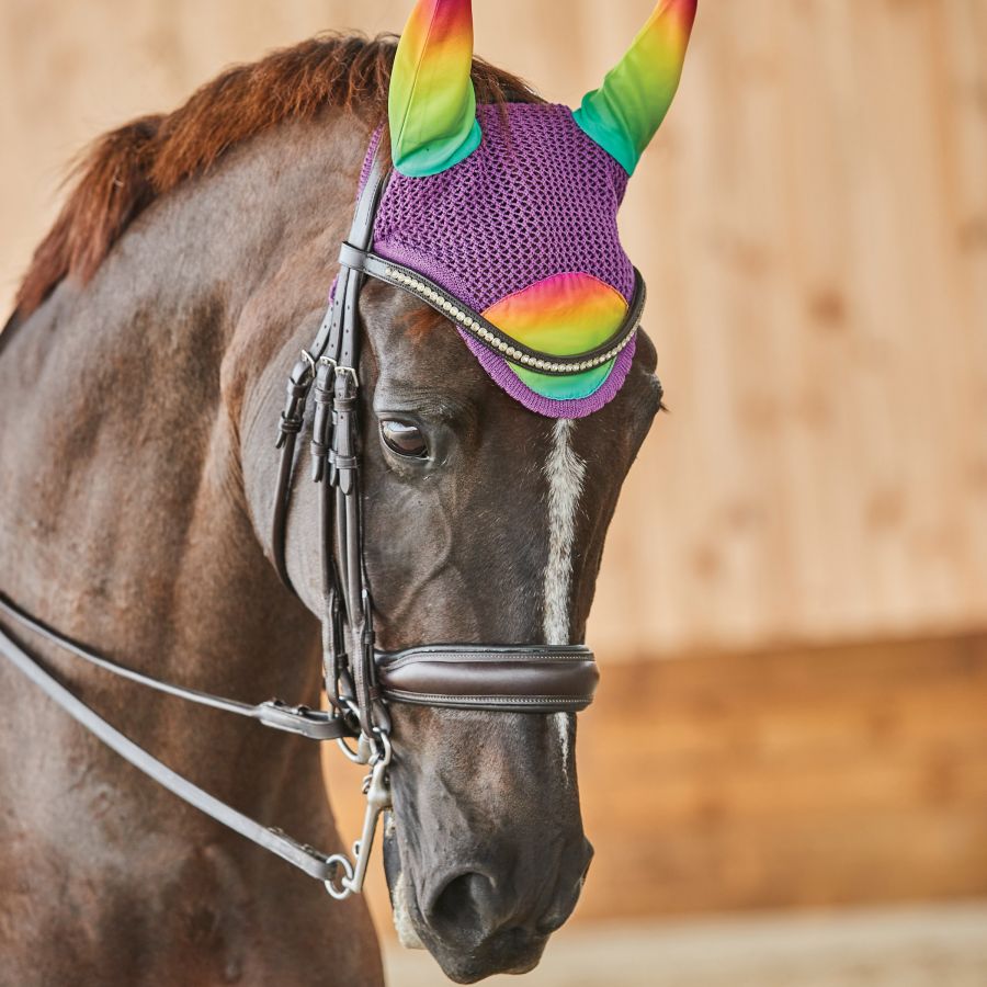 Weatherbeeta Prime Ombre Ear Bonnet,  Rainbow Dream