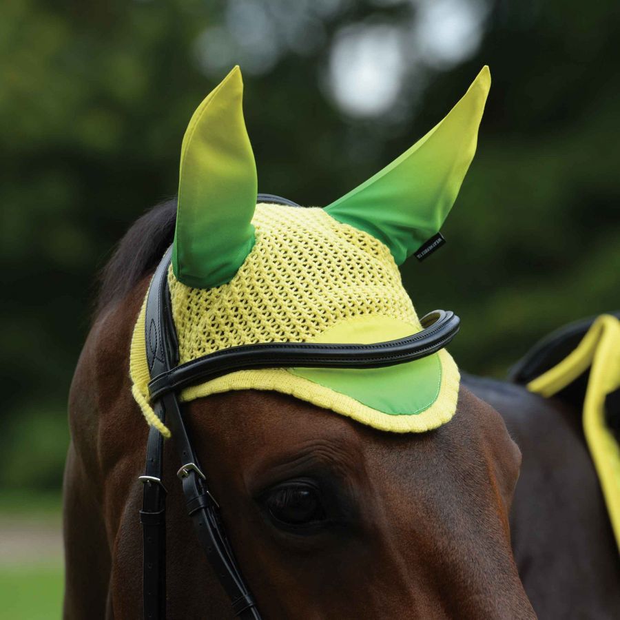 Weatherbeeta Prime Ombre Ear Bonnet,  Sunflower Field