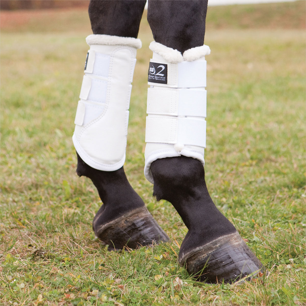 DSB Dressage Sport Boot 2