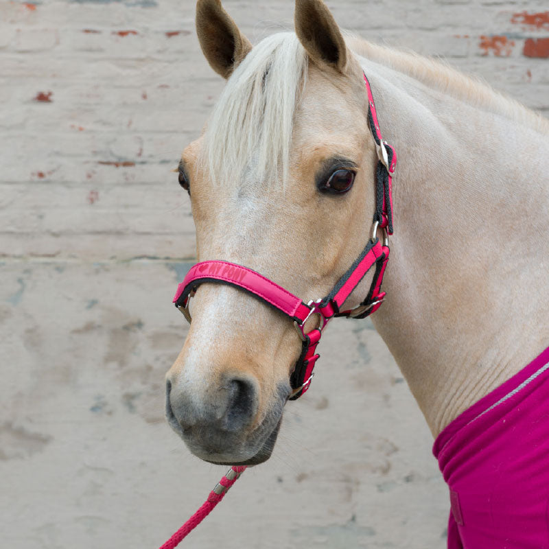 Lami-Cell "I Love My Pony" Halter with Lead