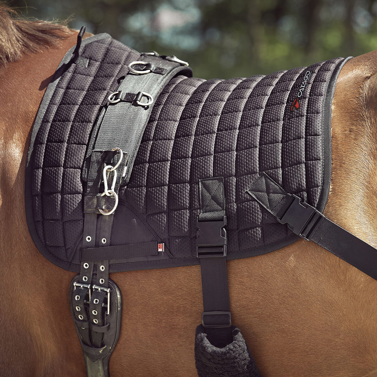 CATAGO® FIR-Tech Training Saddle Pad