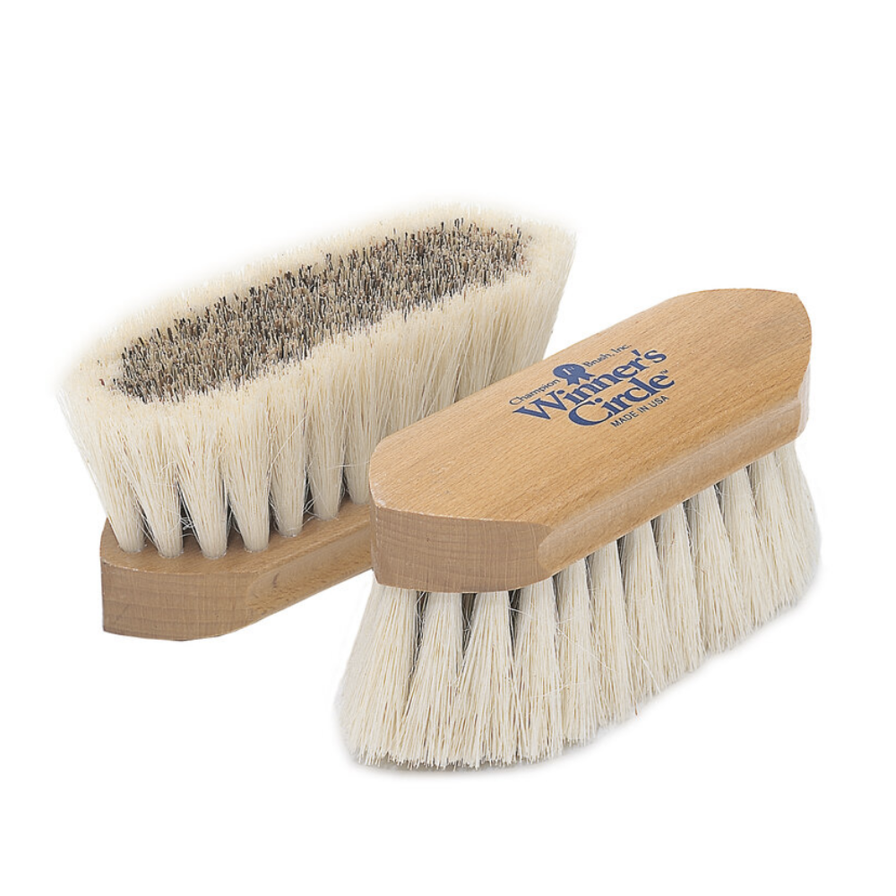 Winner's Circle 6 1/4" Union Center Tampico Border Dandy Brush