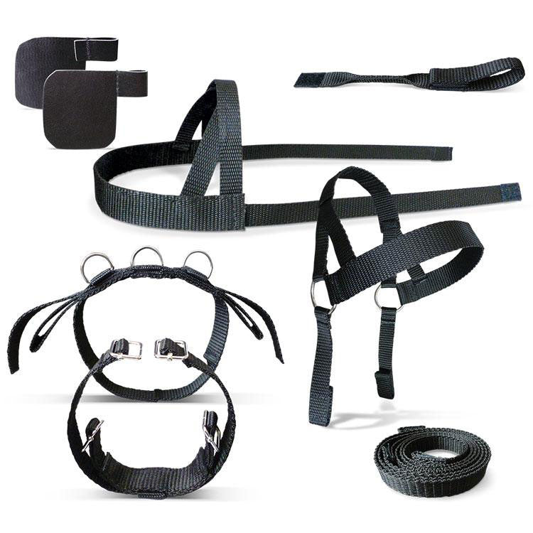 Crafty Ponies Driving Harness & Booklet