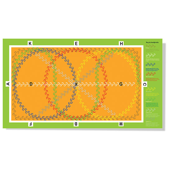 Crafty Ponies Dressage Arena Mat & Booklet