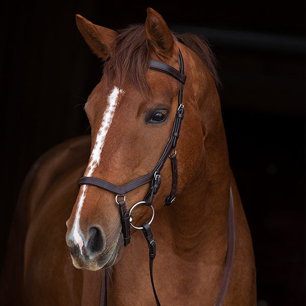 Rambo Micklem Original Competition Bridle