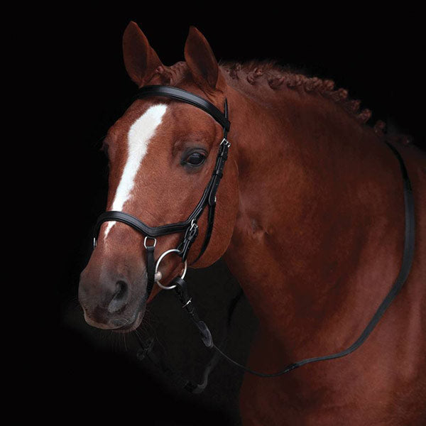 Rambo Micklem Original Competition Bridle