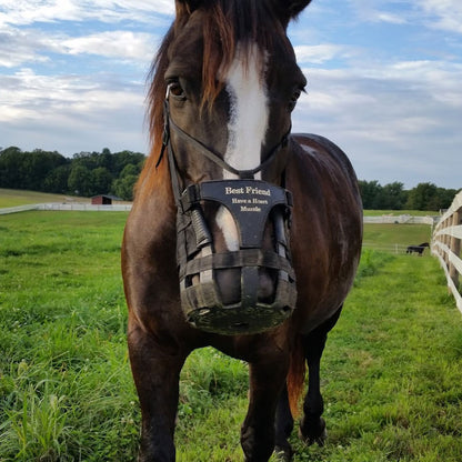 Best Friend® Have a Heart Muzzle