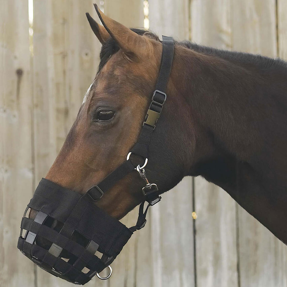 Best Friend® Deluxe Grazing Muzzle