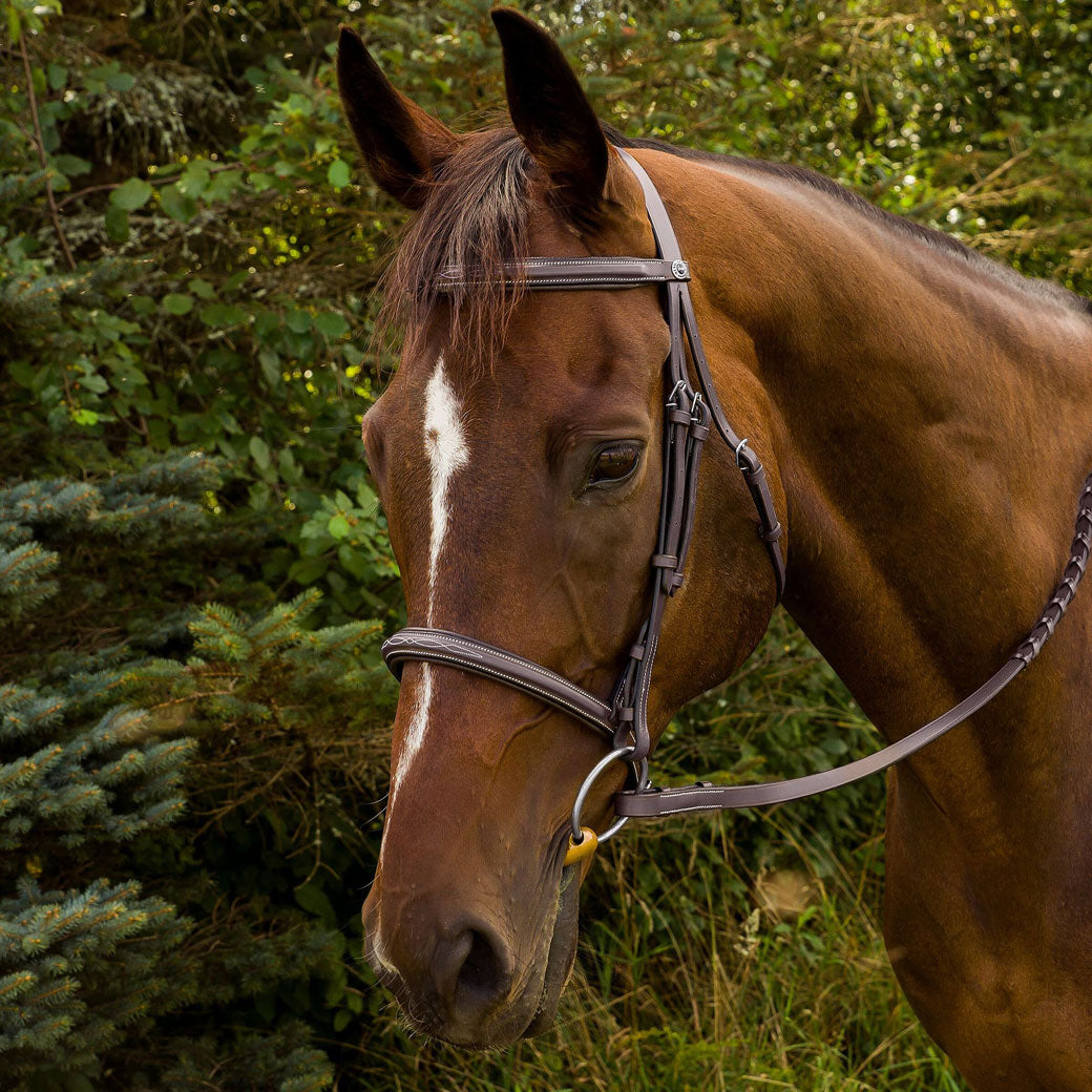 Henri de Rivel Advantage Fancy Raised Padded Bridle