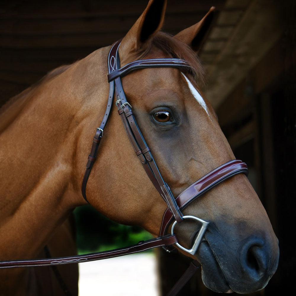 Red Barn Tuscany Fancy Stitched  Bridle