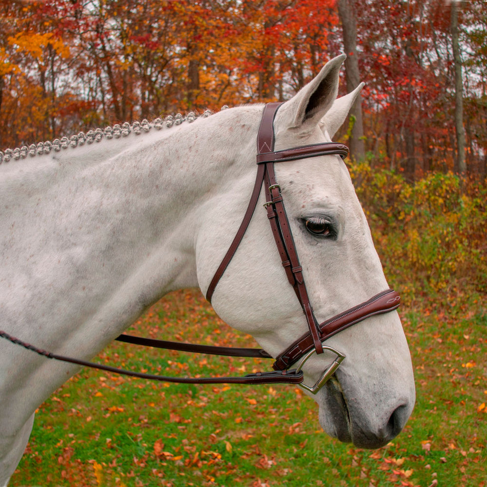 KL Select Wellington Hunter Bridle