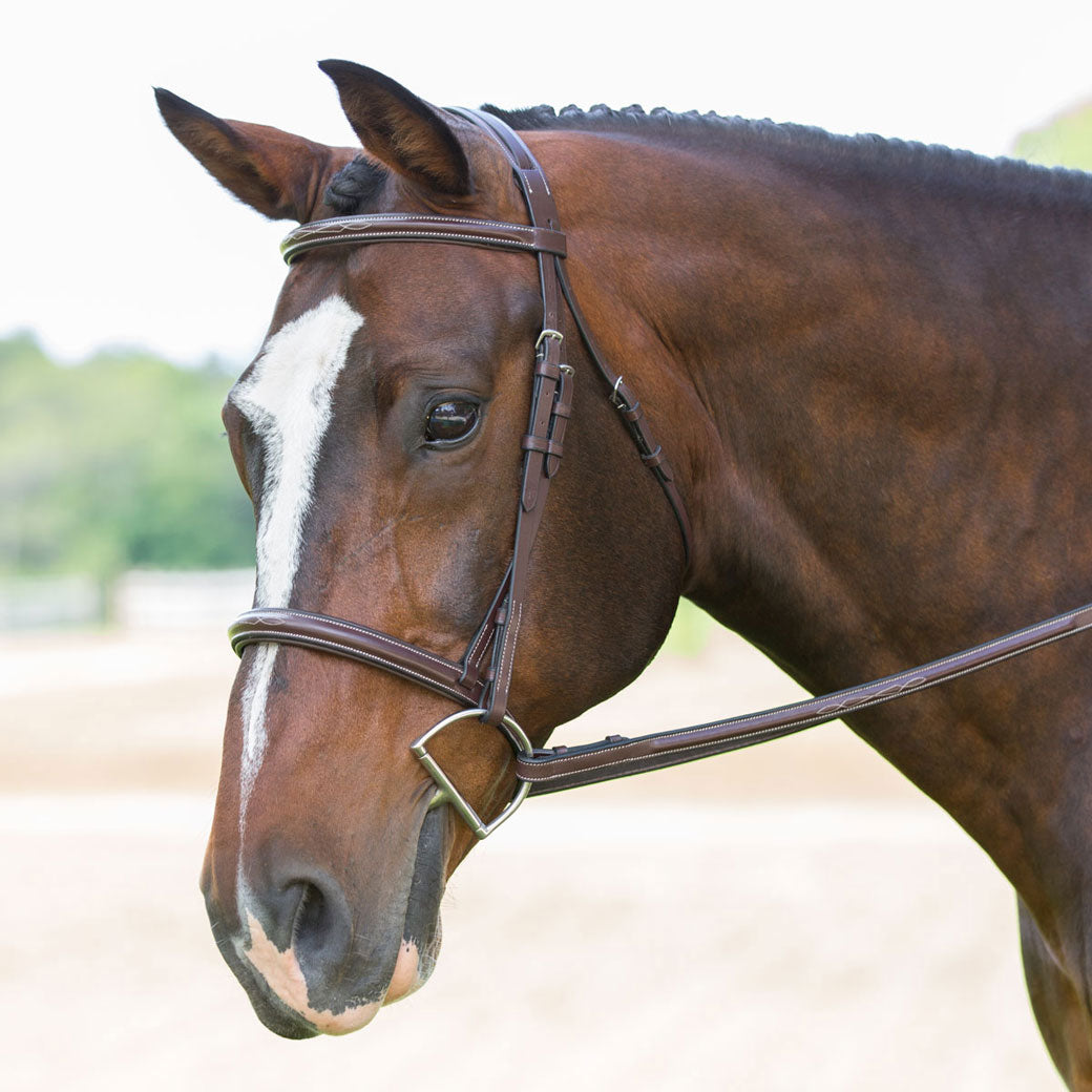 Black Oak Aster Hunter Bridle