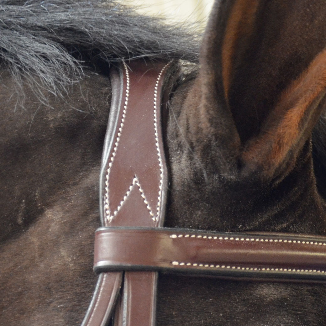 Black Oak Cyprus Hunter Bridle