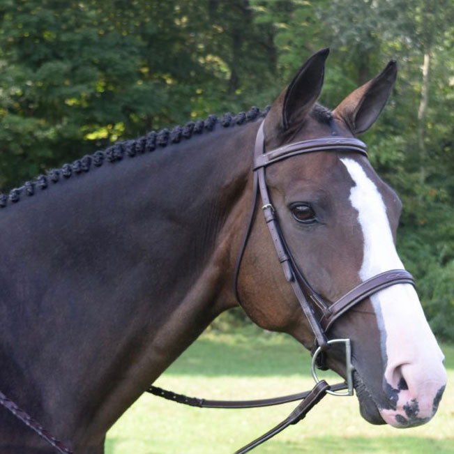 Black Oak Spruce Square Raised Hunter Bridle