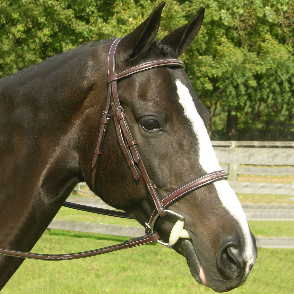 Red Barn Sovereign Bridle