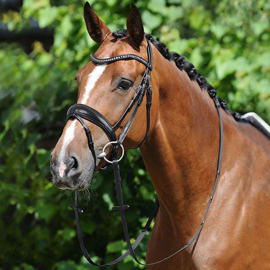 Passier Atlas Snaffle Bridle