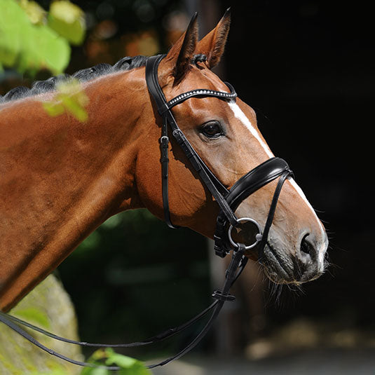 Passier Atlas Snaffle Bridle