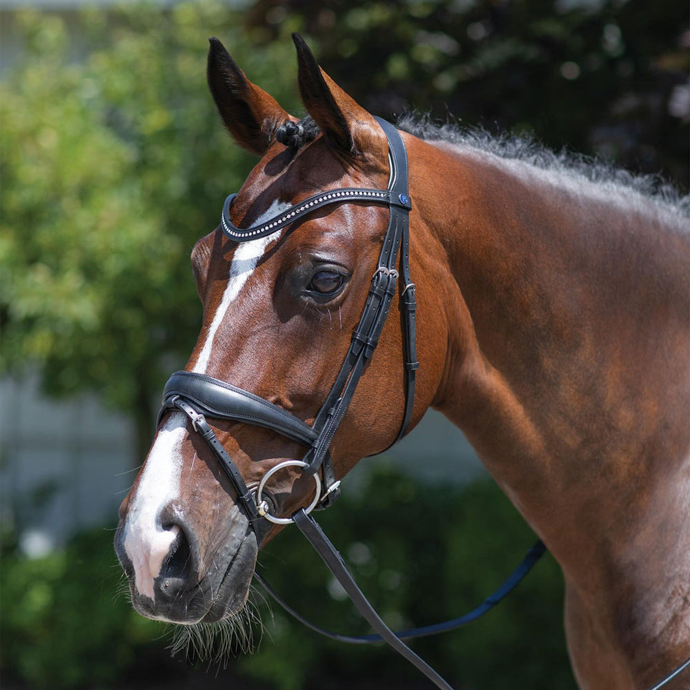 PASSIERBLU Spirit Anatomical Snaffle Bridle