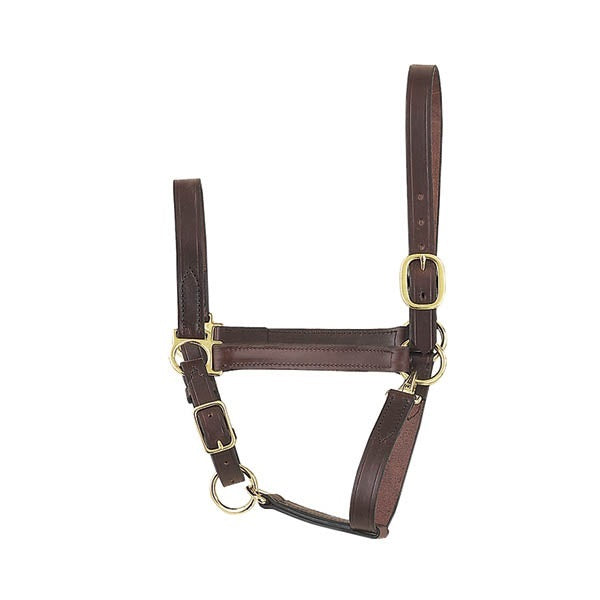 Perri's Economy Leather Halter with Snap